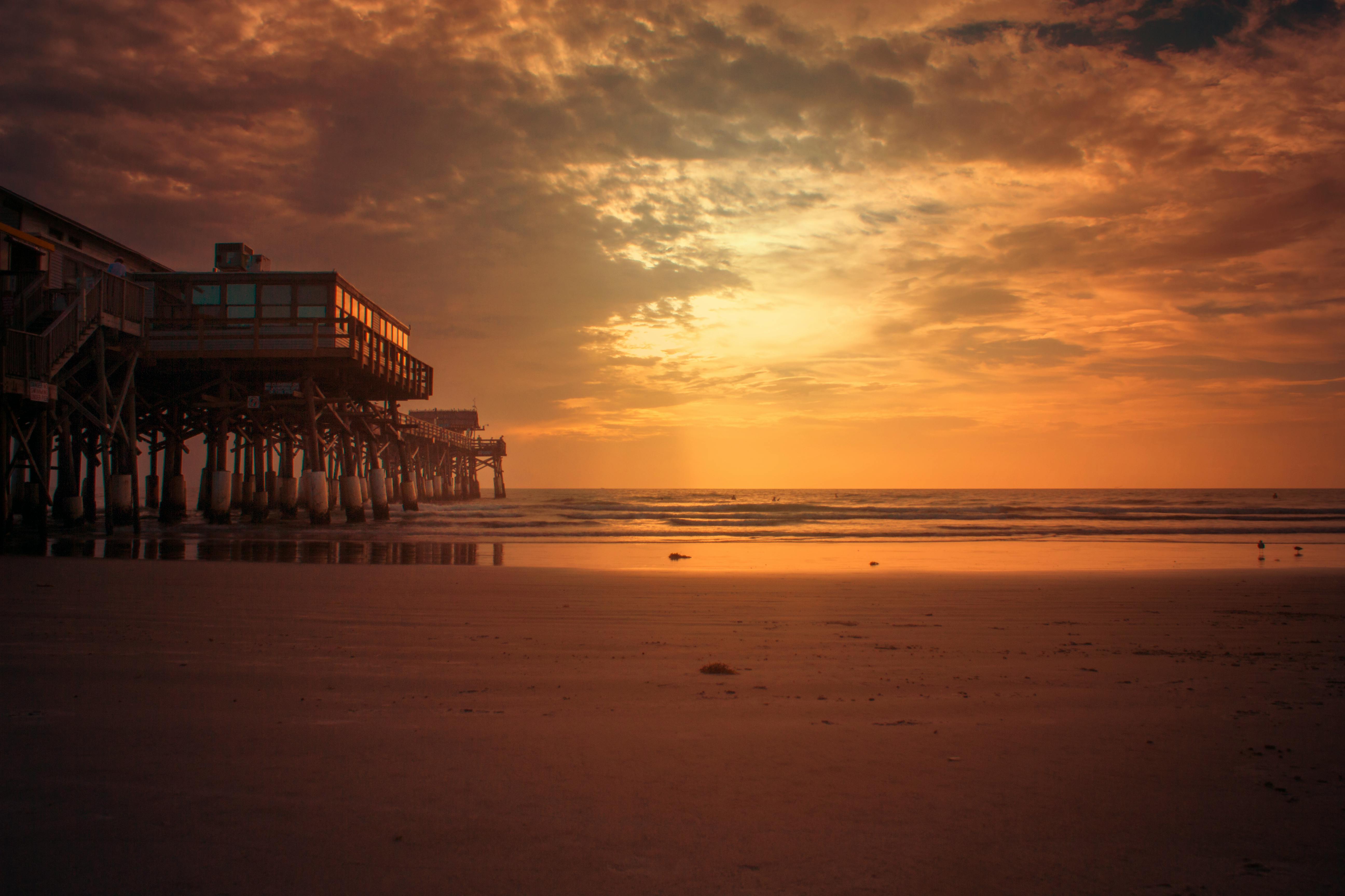 Florida landscape