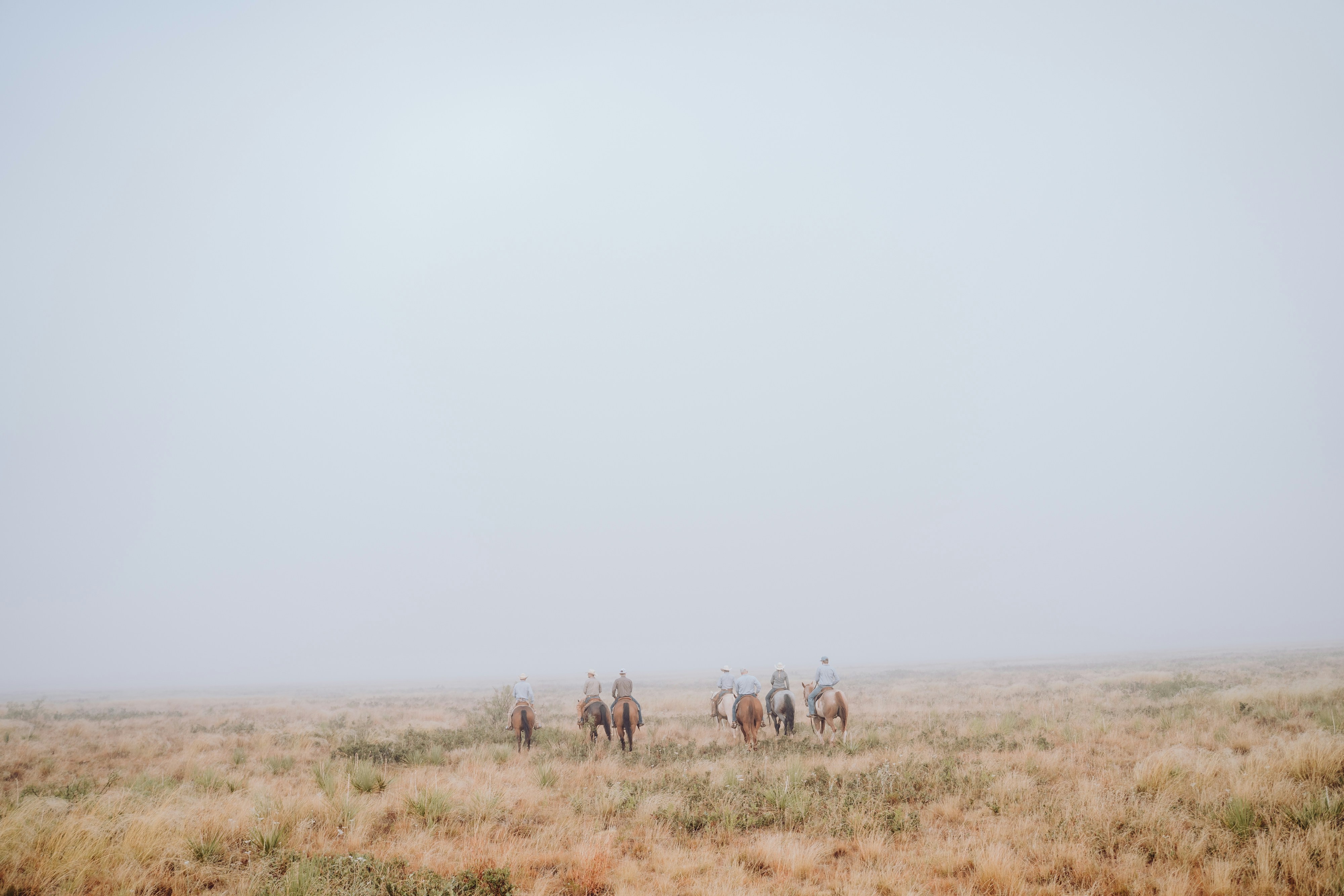 Texas landscape