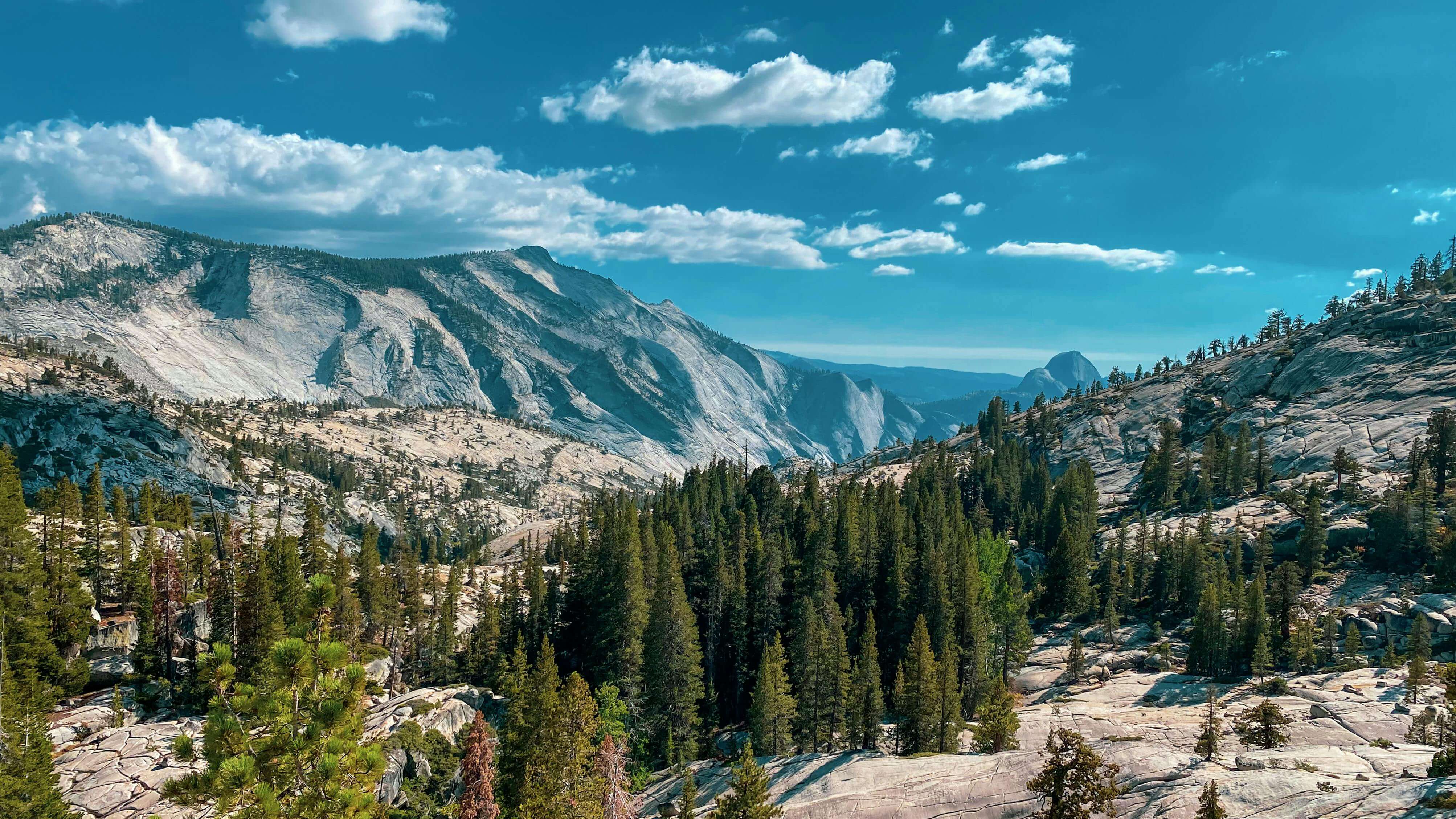 California landscape